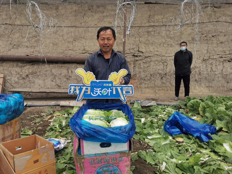 水溶肥那么多，你真的選對了嗎？