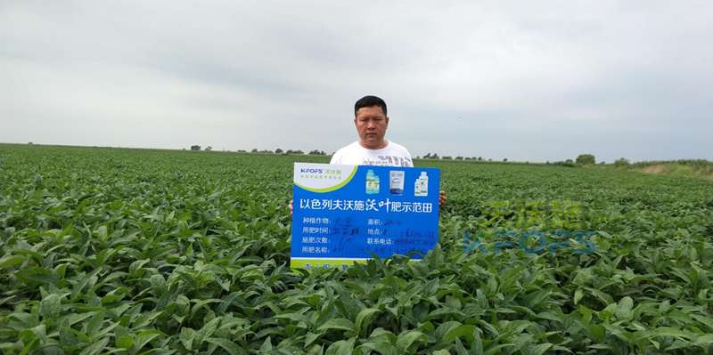 大豆使用什么葉面肥好