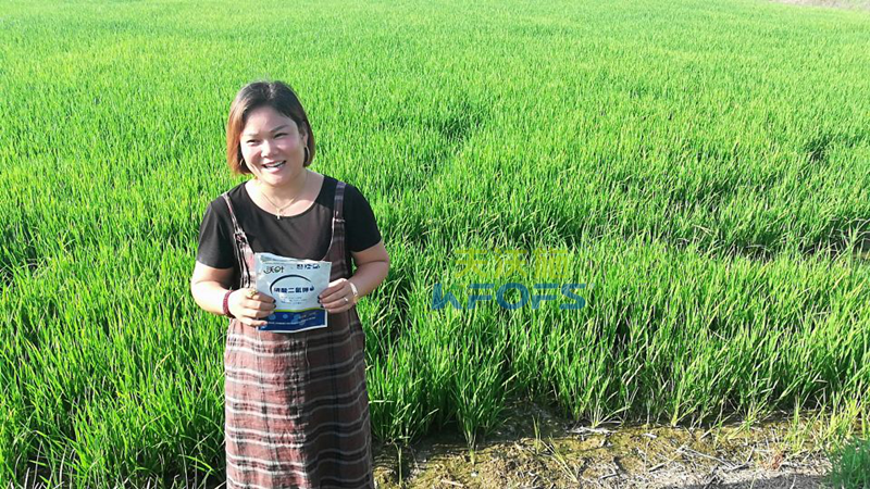 水稻用什么葉面肥好？