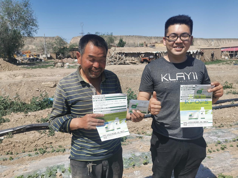 棉花高產(chǎn)施肥的種植技術(shù)，實地經(jīng)驗總結(jié)