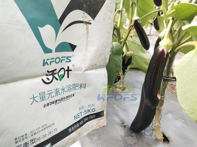 水溶肥是什么肥料？