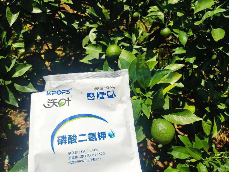 磷酸二氫鉀為什么受歡迎？