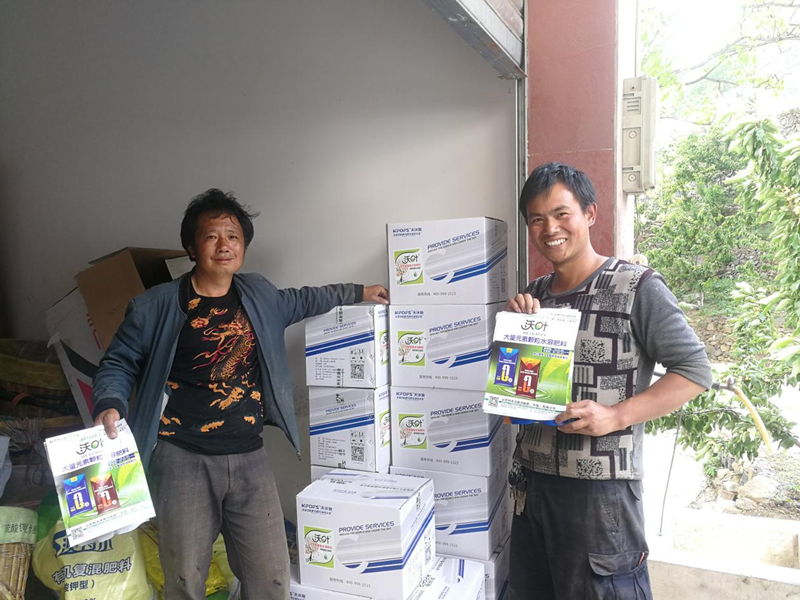 櫻桃采摘后施什么肥料好？附月子肥方案