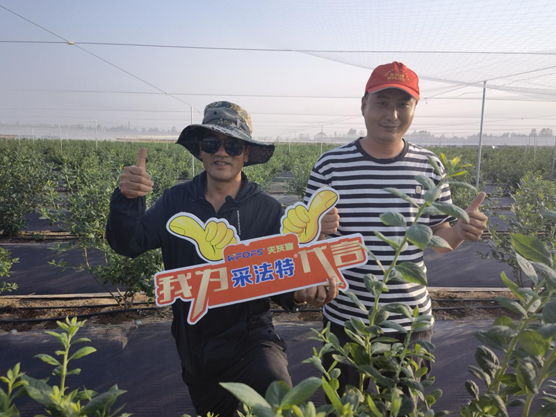 藍(lán)莓用什么水溶肥長得好？