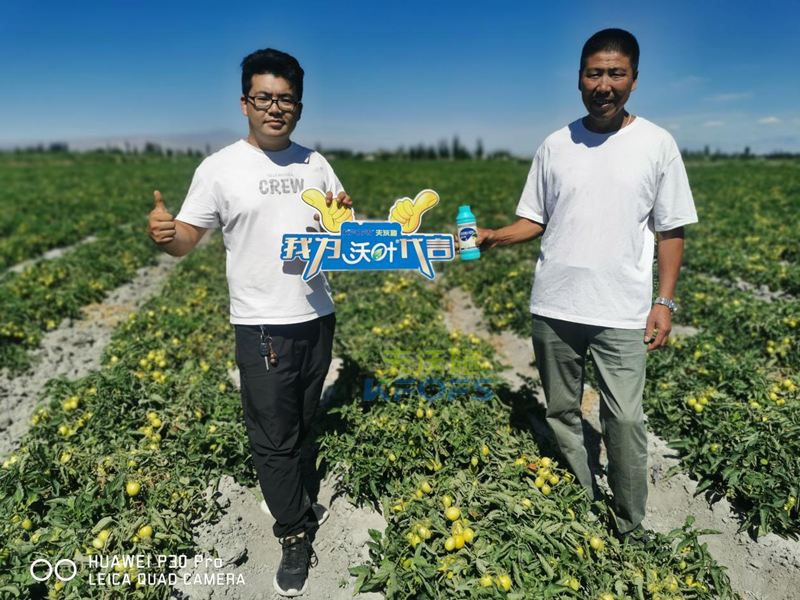 水溶肥選哪家，張總來為你解答