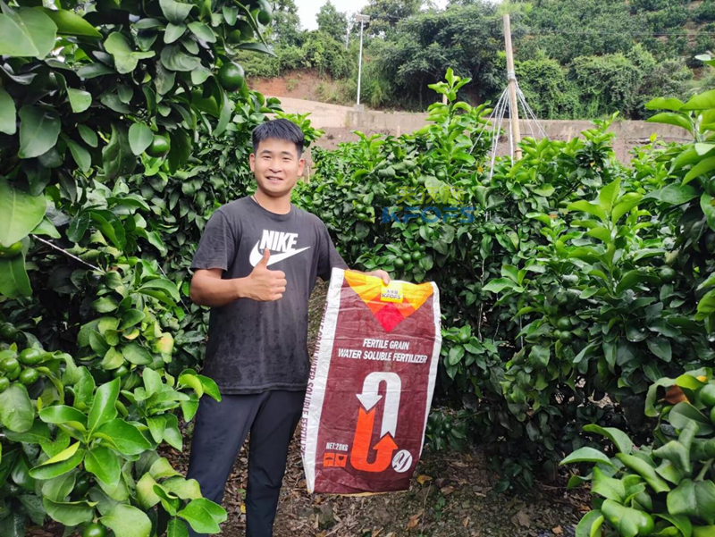 水溶肥用在柑橘上效果怎么樣？