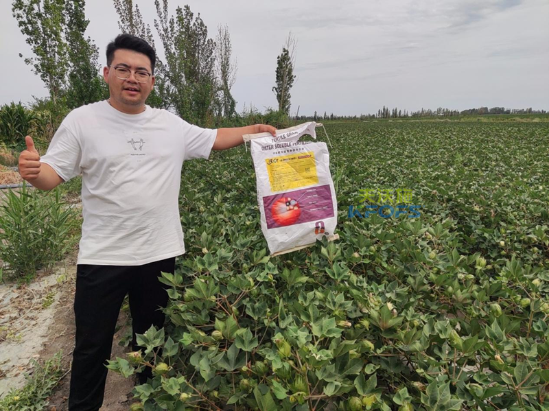 棉花高產(chǎn)栽培技術(shù)，一起圍觀！