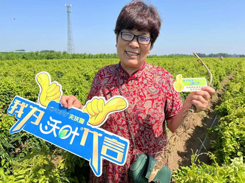 改良土壤肥料有哪些？夫沃施功能肥