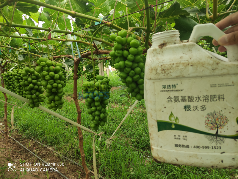 水溶肥怎么選？夫沃施告訴你這幾點