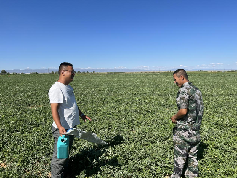 水溶肥好不好？用過(guò)才知道
