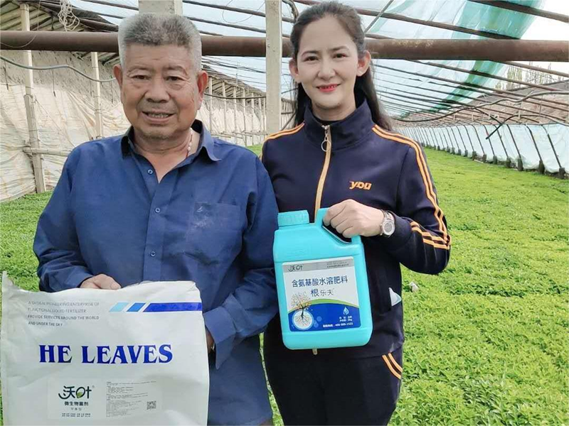 辣椒苗期施肥管理，掌握這項(xiàng)技術(shù)