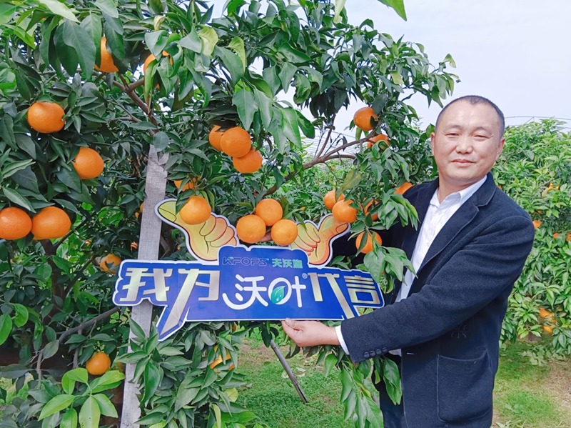 柑橘樹用什么肥料好？