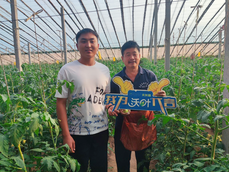 改良土壤用哪款水溶肥好？