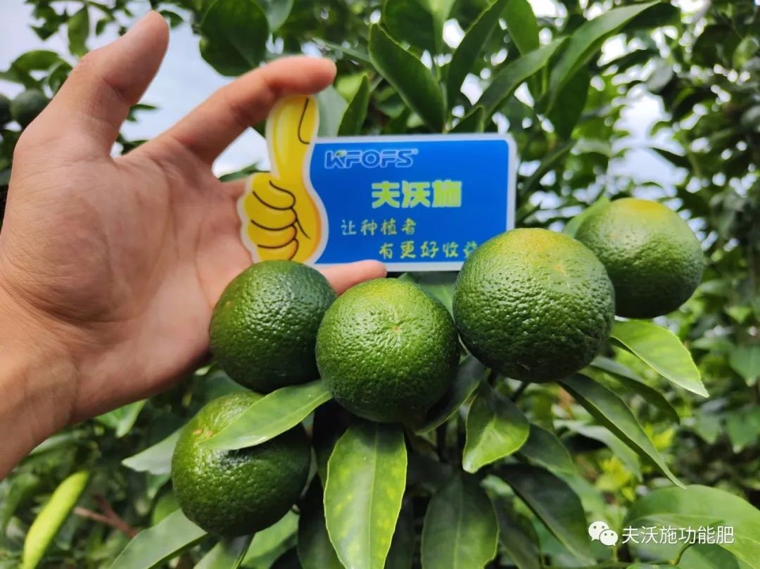 改善土壤板結(jié)用什么肥料？