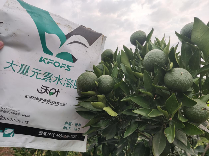 1柑橘樹施什么肥最好-沃葉大量元素.png