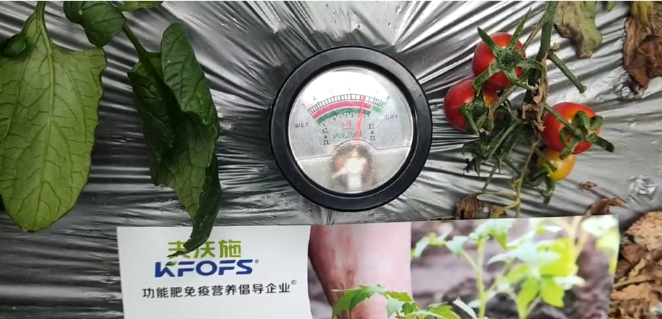 微生物菌劑，為什么被越來越多的人選擇？