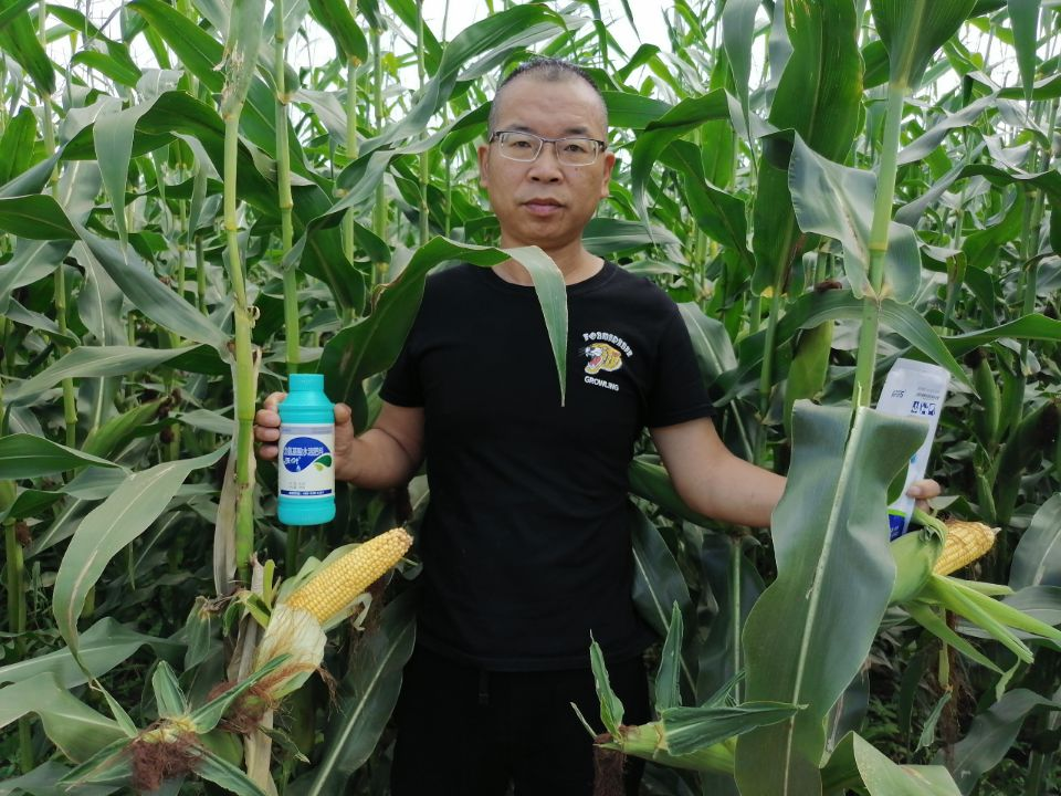 葉面肥哪個(gè)好？照著選錯(cuò)不了