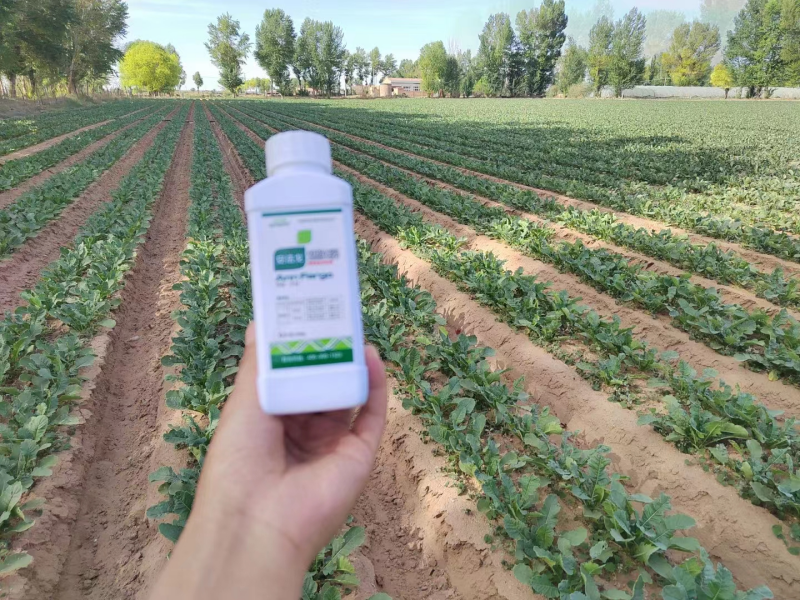 除草劑藥害怎么辦？安法戈來解決！