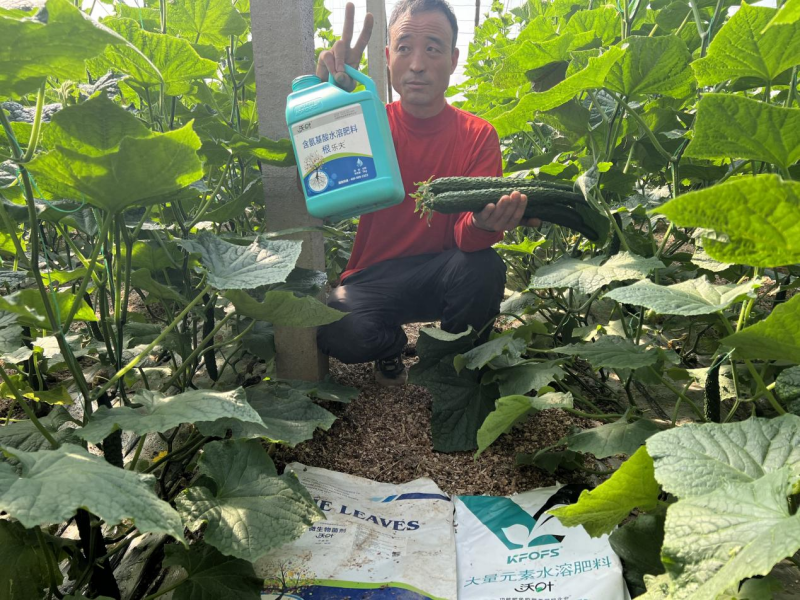 種植蔬菜用什么肥料最好？兩個解決，兩個方案