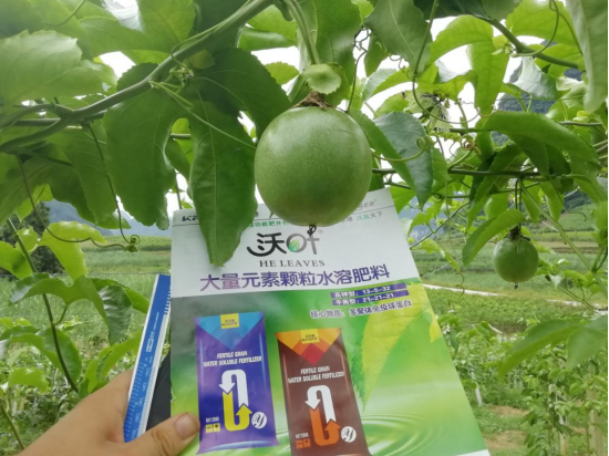 顆粒水溶肥品牌，跟著這樣選！