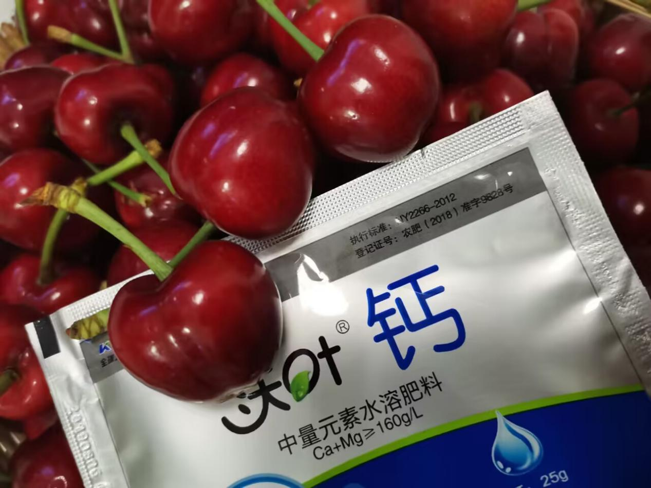 水溶肥&mdash;櫻桃用沃葉鈣肥效果.png