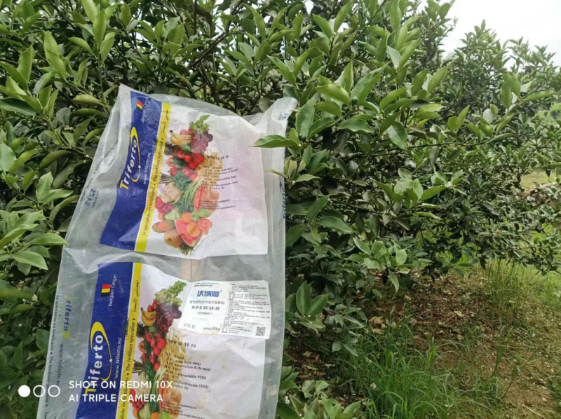 水溶肥效果好不好？榮大姐告訴你