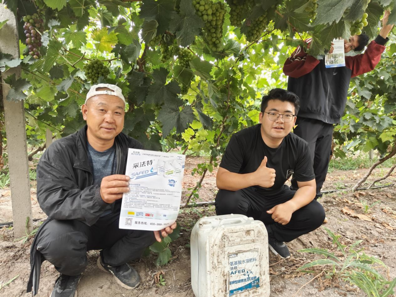 氨基酸肥料的作用你了解多少？