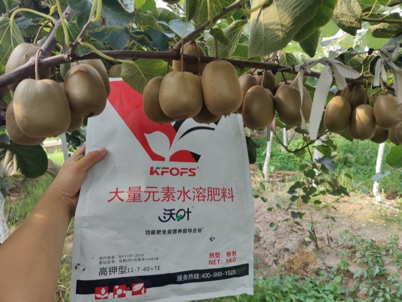 獼猴桃施肥用什么肥料？