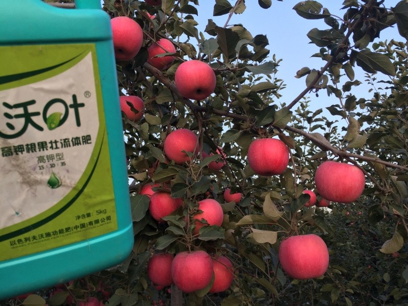 葉面肥&mdash;蘋(píng)果用沃葉流體肥效果.jpg