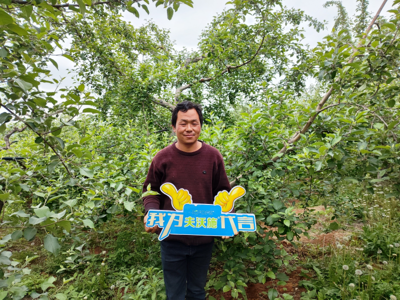 大量元素水溶肥怎么用效果好？