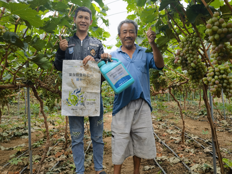 葡萄的栽培技術(shù)與管理-用戶見證.png
