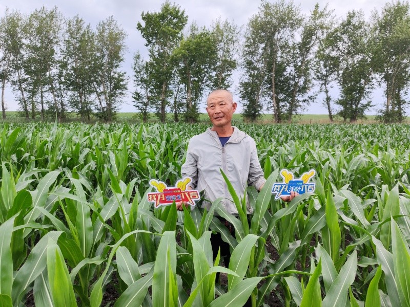 水溶肥廠家怎么選？看這里