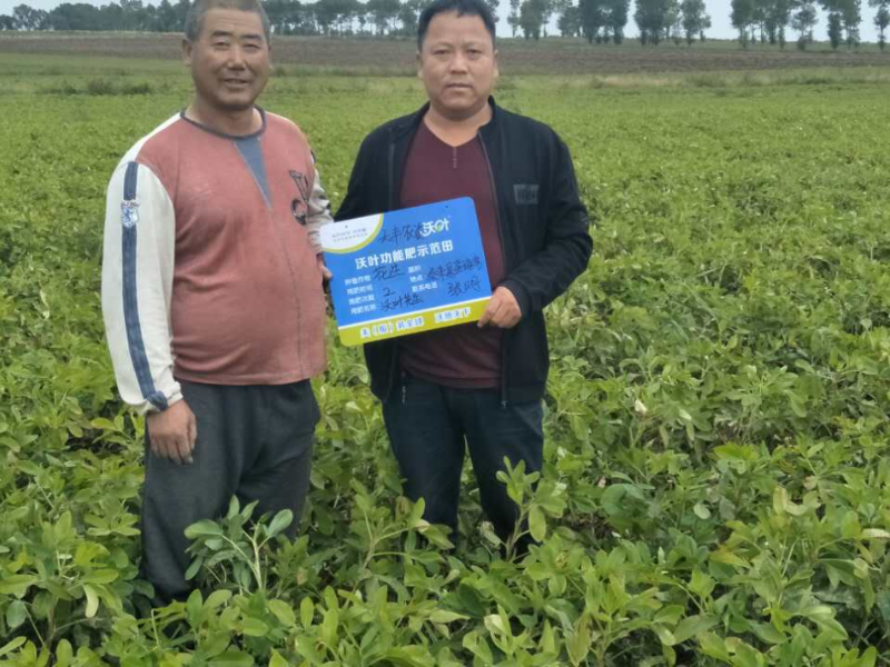 花生種植重茬、藥害問題解決方案
