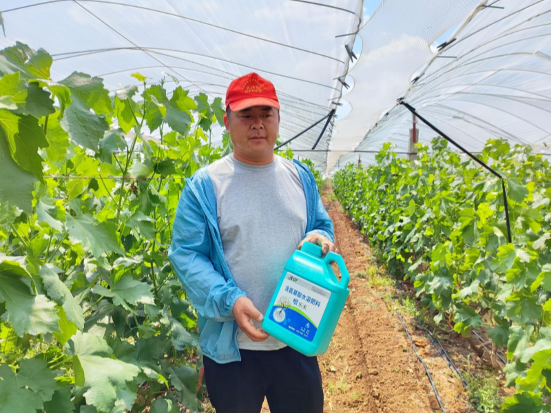 如何施肥讓果實(shí)快速膨大？