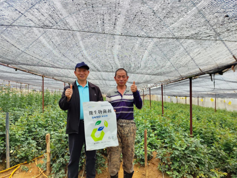 玫瑰花施肥施什么肥料？