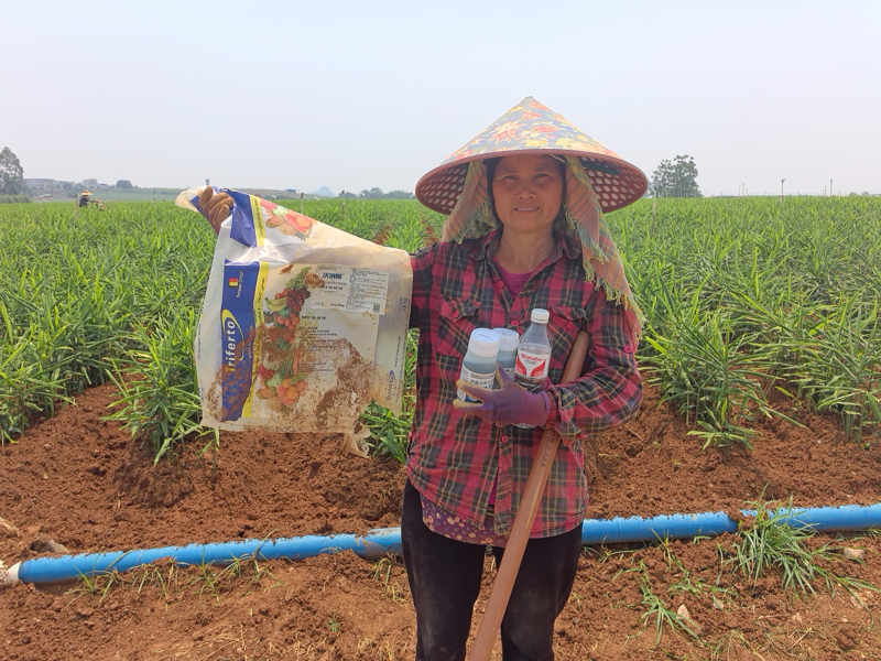 水溶肥哪家好？判斷標(biāo)準(zhǔn)“三看”