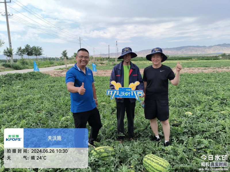 西瓜藥害怎么辦？水溶肥調(diào)理解決