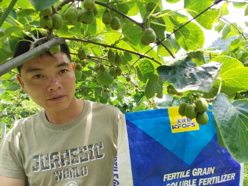 獼猴桃用什么肥料好？