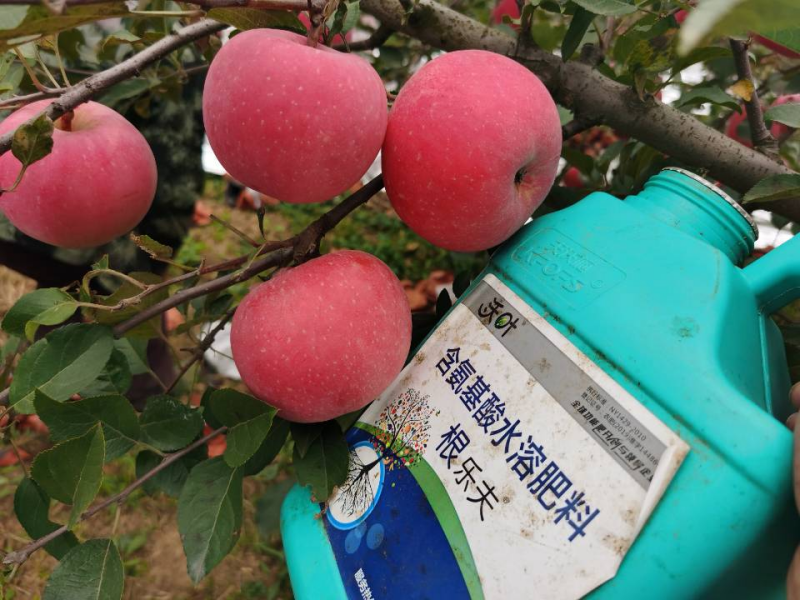 生根劑哪個(gè)牌子好？