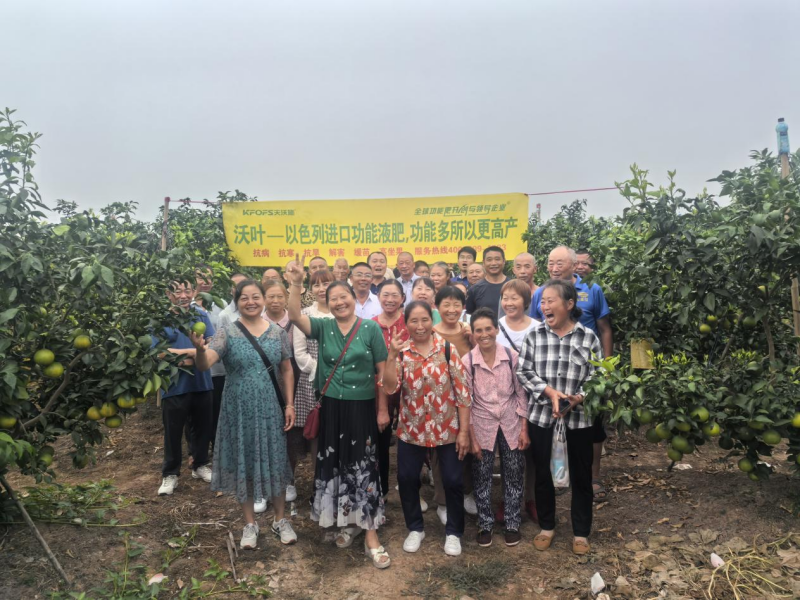 水溶肥和功能性水溶肥的區(qū)別