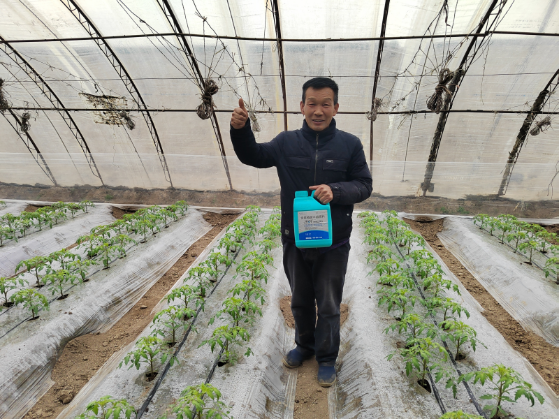 魚(yú)蛋白水溶肥的作用