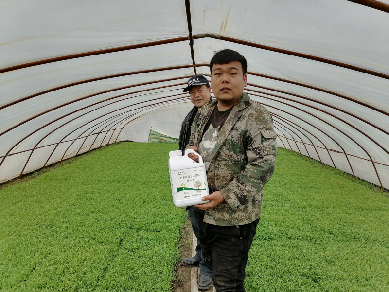 生根劑的主要成分是什么？