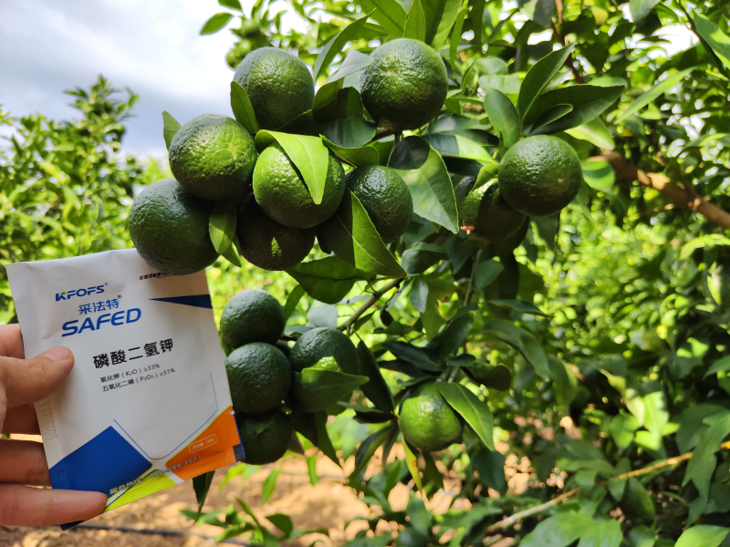 磷酸二氫鉀的作用及使用方法及注意事項(xiàng)